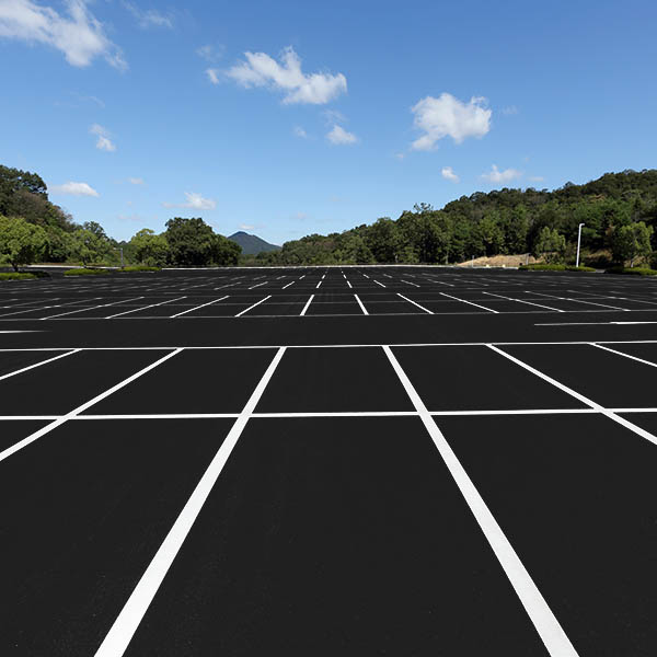 Empty car parking lot with white mark